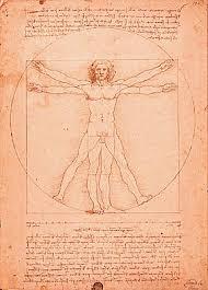 les proportions parfaites de l'homme de vitruve du genial de vinci car nul n'entre en franc maconnerie s'il ne connait que 